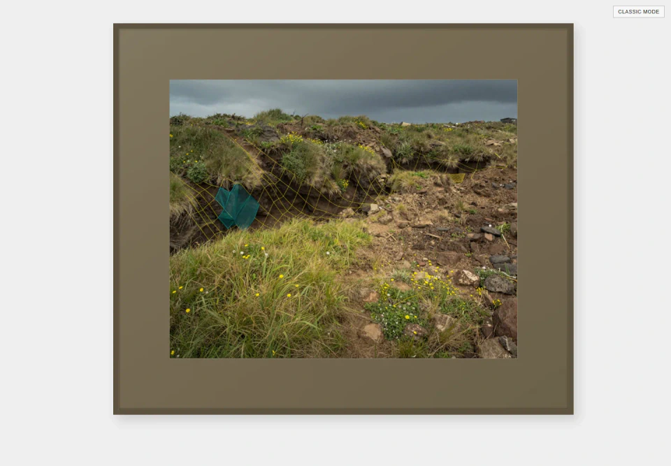 Single-column image view: a wide photograph of a grassy, rocky clearing set inside a large olive-grey mat, with a mode button at the top right.