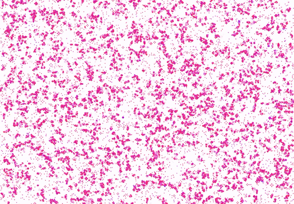 Detail of the generation-zero seed: pink and white cellular-automaton clusters on a white field.